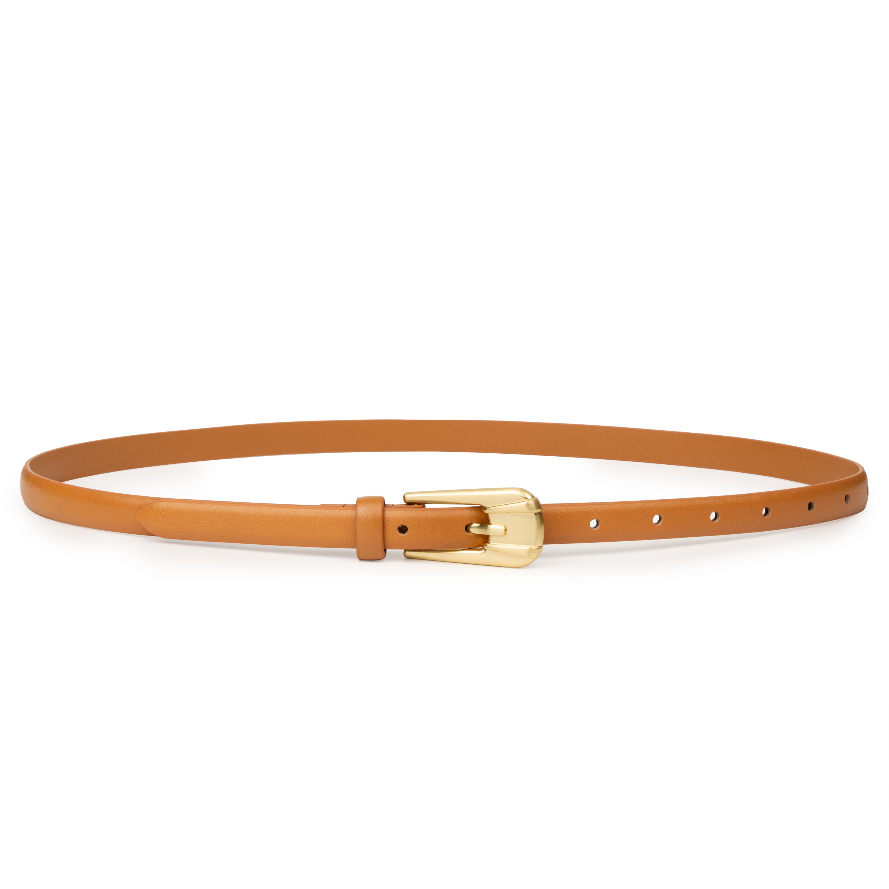 THE CARINI BELT