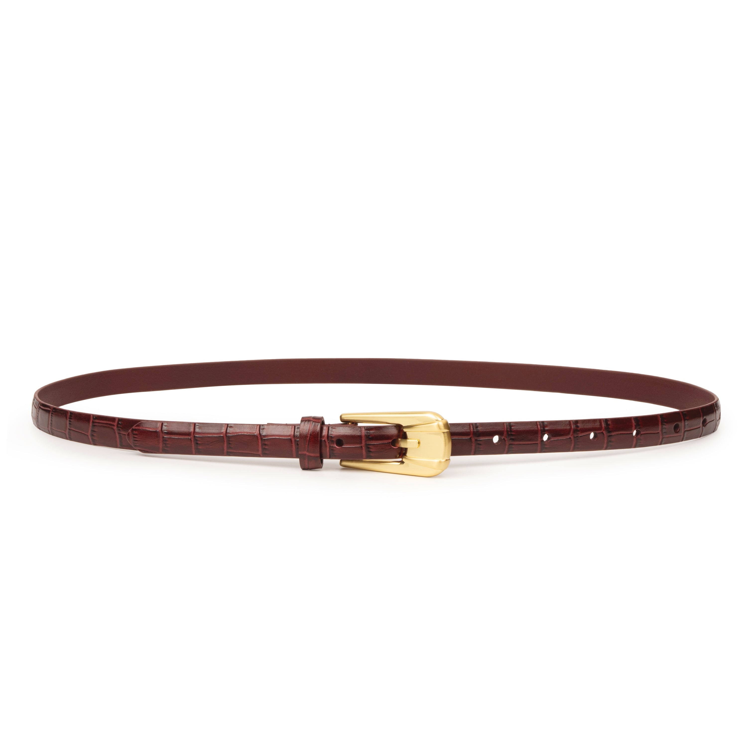 THE CARINI BELT