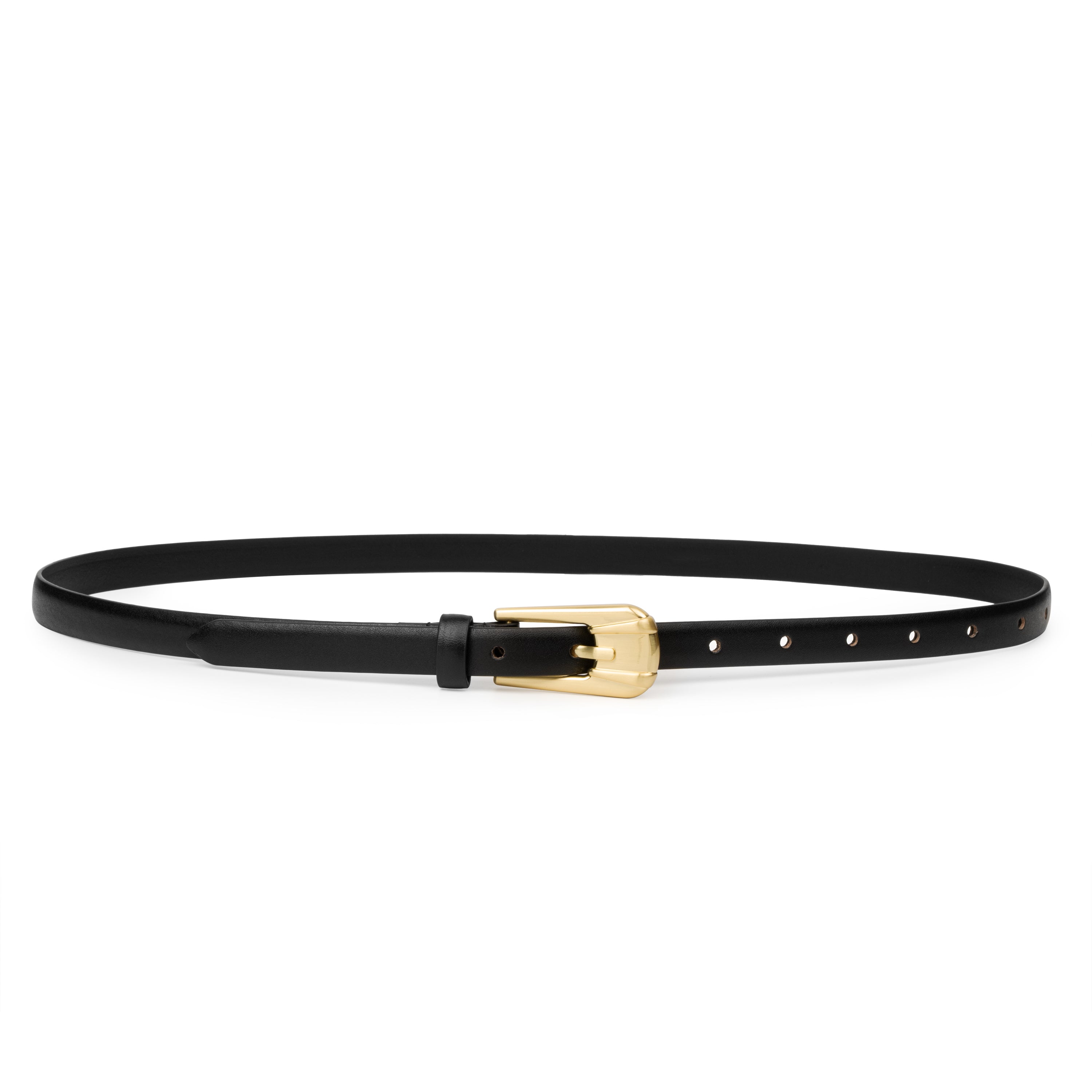 THE CARINI BELT