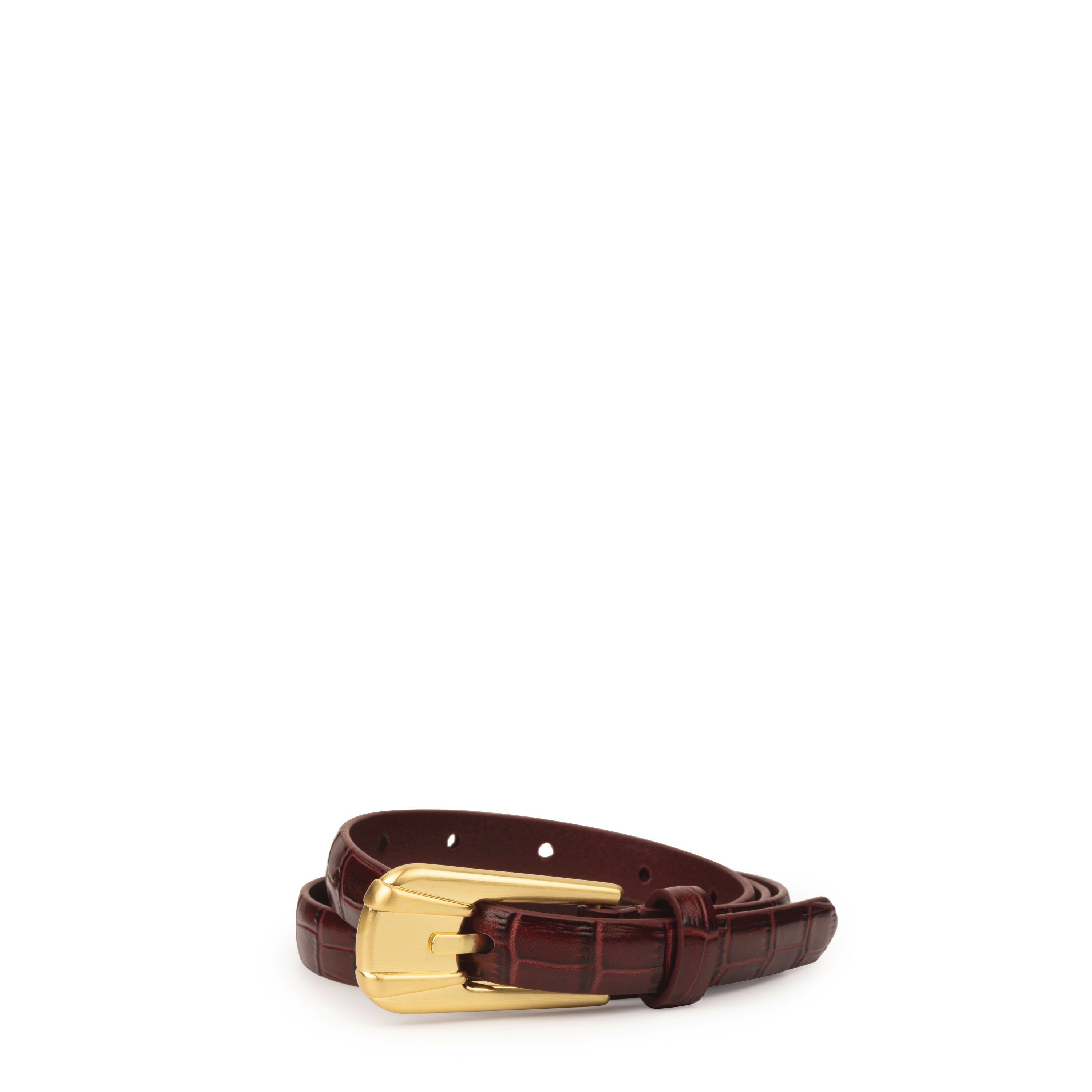 THE CARINI BELT