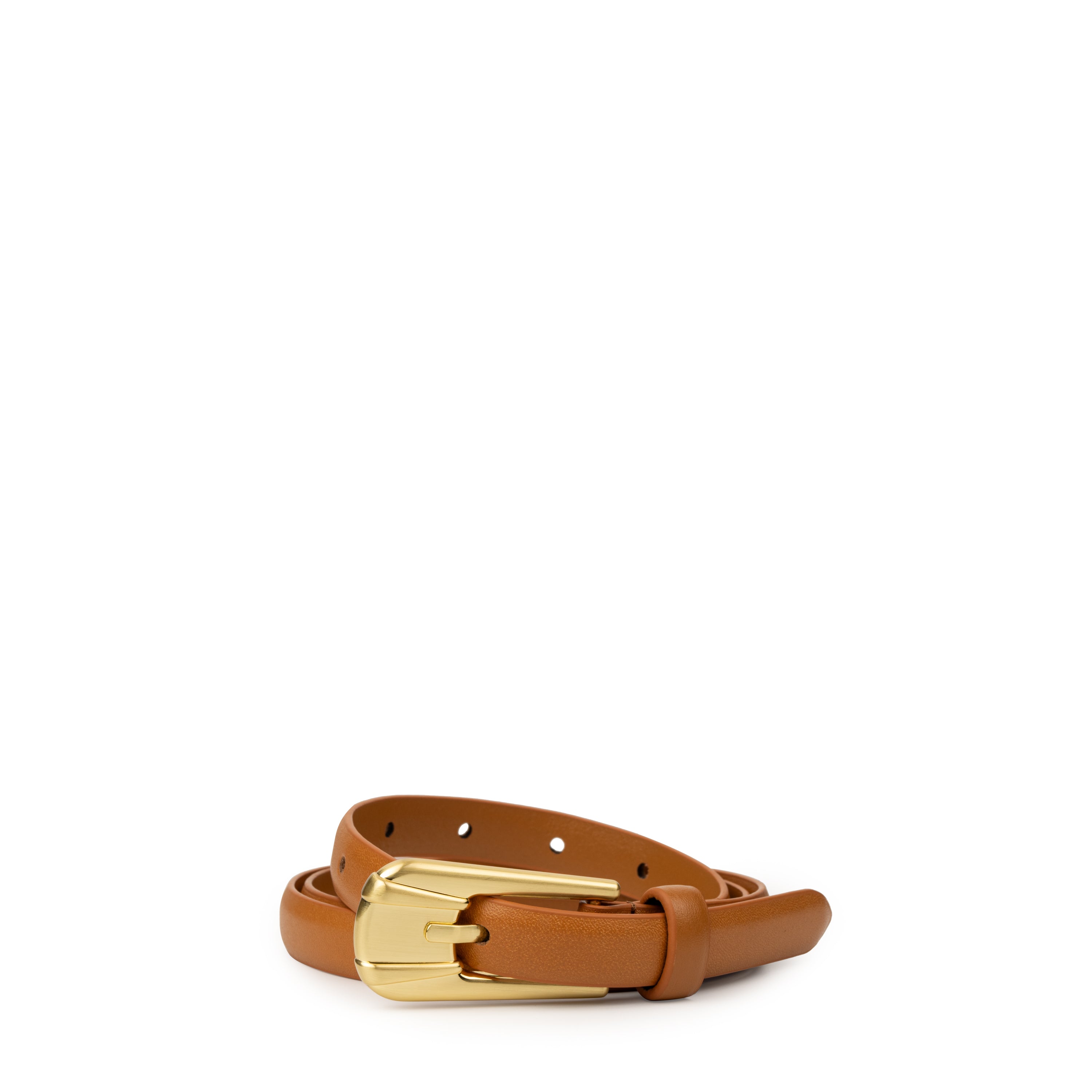 THE CARINI BELT