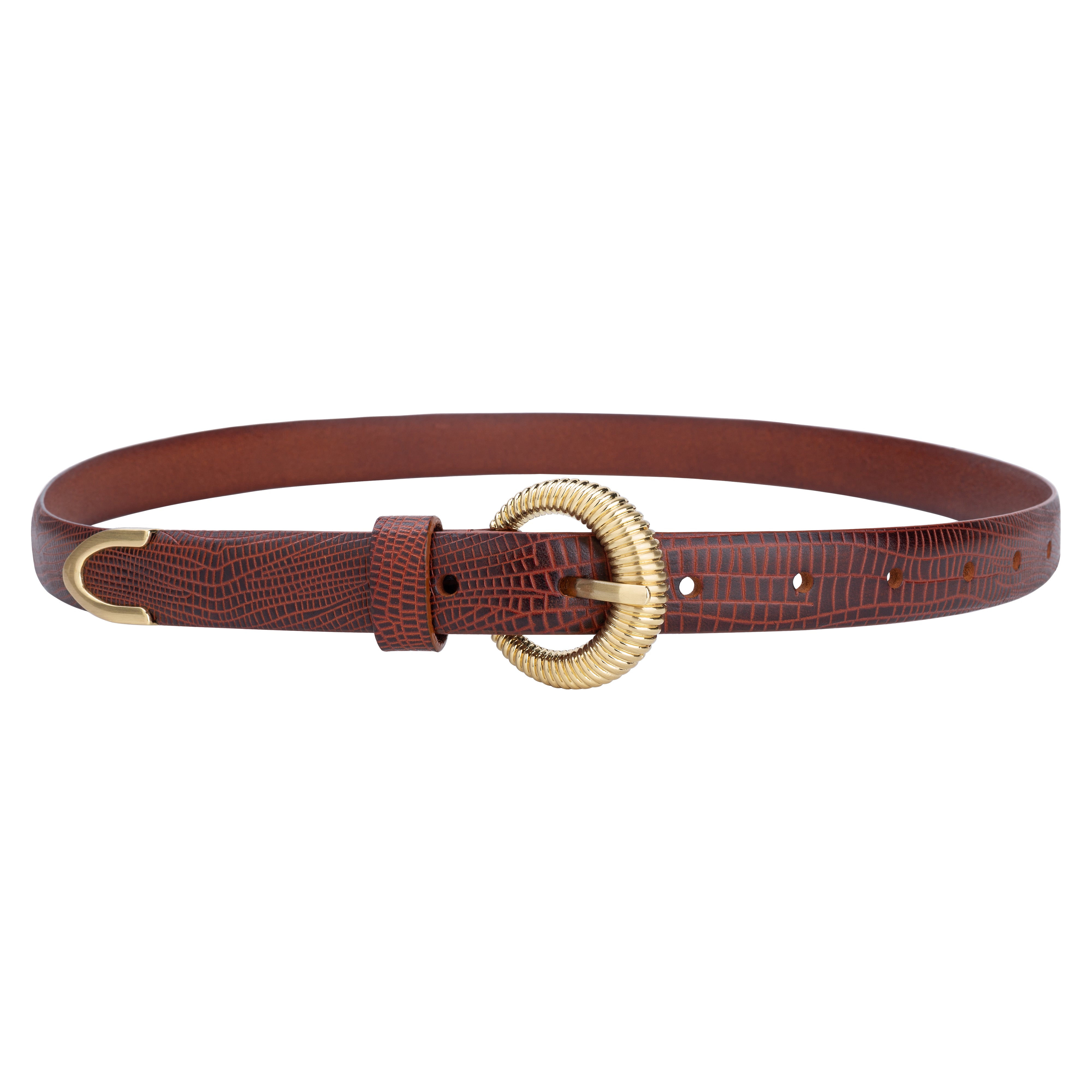 THE LOTKA BELT